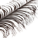 veniard cock pheasant double hopper daddy knotted tail for fly tying black