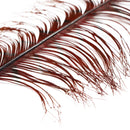 veniard cock pheasant double hopper daddy knotted tail for fly tying claret