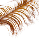 veniard cock pheasant double hopper daddy knotted tail for fly tying natural